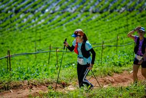 BIB: 
                            <button type="button" onclick="openModal(19164297)" class="btn btn-primary btn-sm float-right btn-popup" data-toggle="modal" data-target=".modal-high-quality">
                        <i class="fas fa-shopping-cart"></i> Add to Cart
                    </button>
                                            <button type="button" onclick="isThisMe(19164297, true)" class="btn btn-success btn-sm float-right btn-popup btn-isme hidden" data-toggle="tooltip" data-placement="bottom" title="นี่คือรูปของคุณใช่ไหม คลิกที่นี่เพื่อเอาเข้าอัลบั้ม">
                        <i class="fas fa-plus"></i> Add to album
                    </button>
                    <button type="button" onclick="isThisMe(19164297, false)" class="btn btn-warning btn-sm float-right btn-popup btn-isnotme hidden">
                        <i class="fas fa-ban"></i> Remove from album
                    </button>